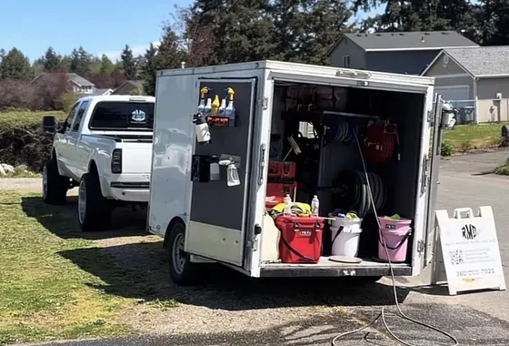 Ray's Mobile Detailing website visual